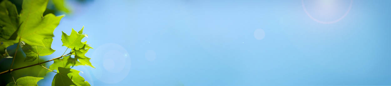 #nivo1 Broward Homeschool Parent Support Group